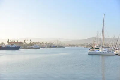 DSC_7233 (Large).JPG